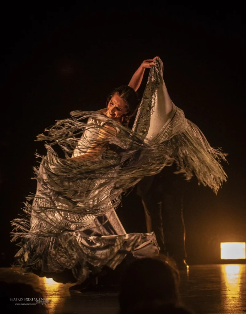 THE ¡Viva España! Flamenco Festival