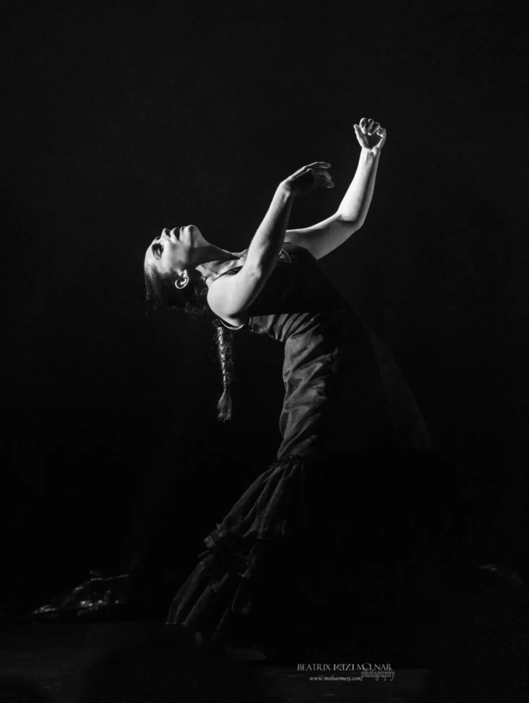 THE ¡Viva España! Flamenco Festival