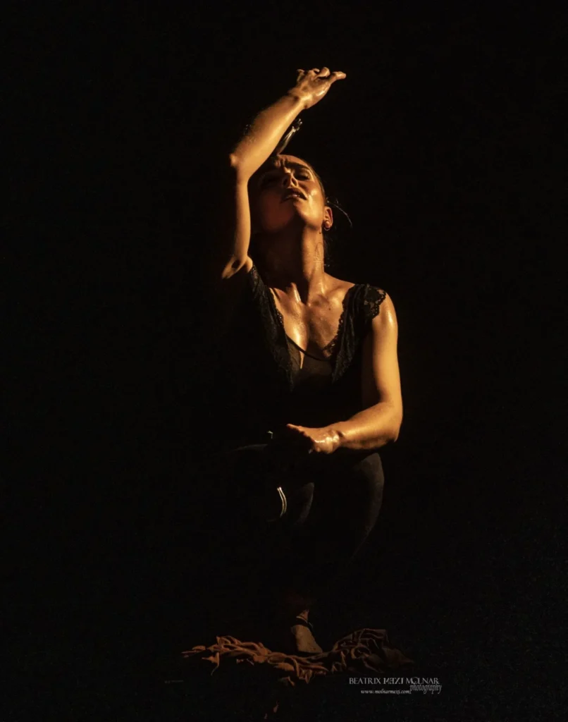 THE ¡Viva España! Flamenco Festival